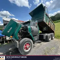 1979 CHEVROLET Bruin - view 2 of 36