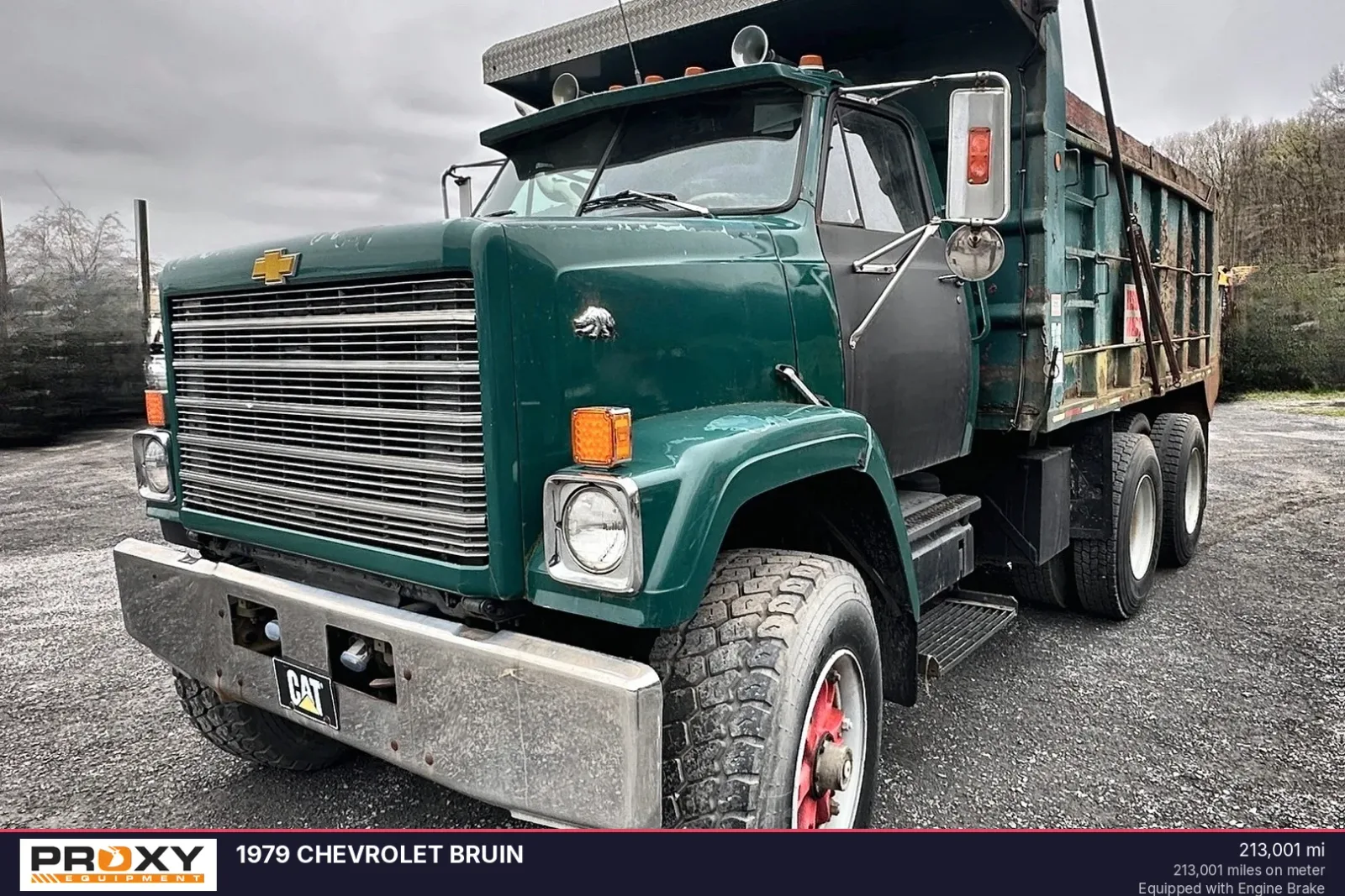 1979 CHEVROLET Bruin