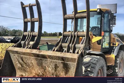 2015 VOLVO L45G - view 3 of 66