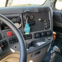 2014 FREIGHTLINER Cascadia - view 10 of 14