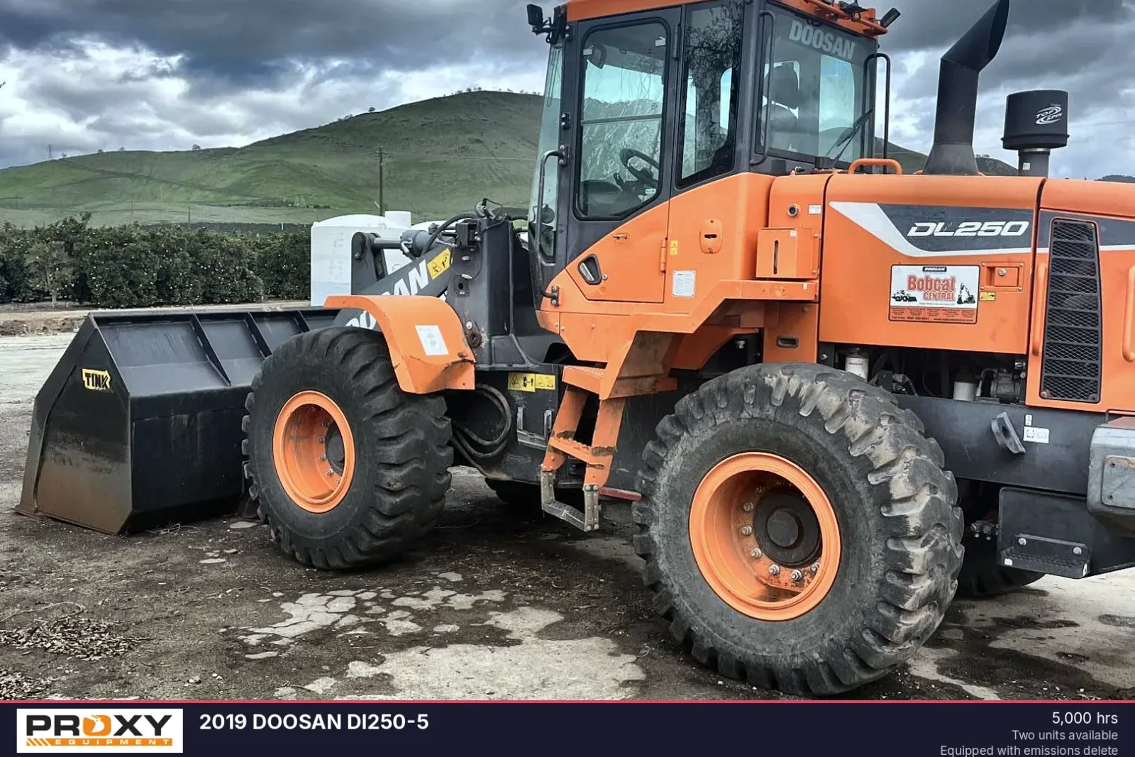2019 DOOSAN Dl250-5