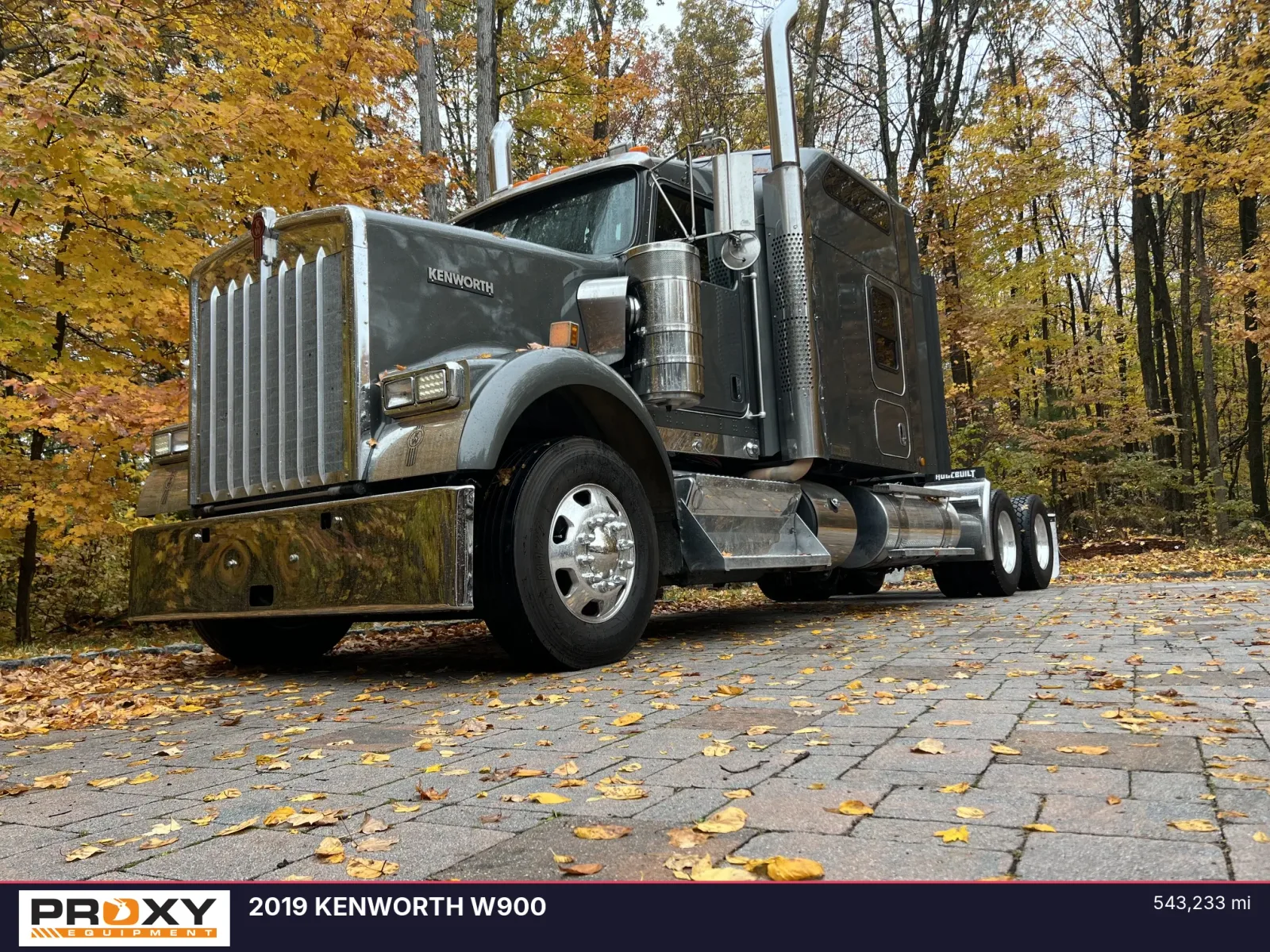 2019 KENWORTH W900