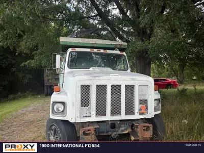 1990 INTERNATIONAL F2554 - view 3 of 28