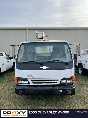 2003 CHEVROLET W4500 - view 2 of 30