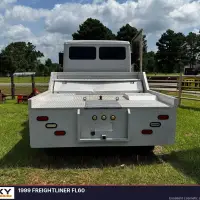 1999 FREIGHTLINER FL60 - view 7 of 39