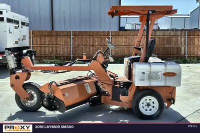 2016 LAYMOR SM300 - view 2 of 32