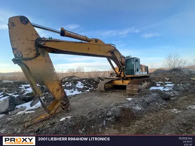 2001 LIEBHERR R964HDW Litronics - view 4 of 34