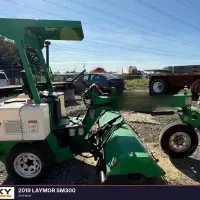 2019 LAYMOR SM300 - view 4 of 24